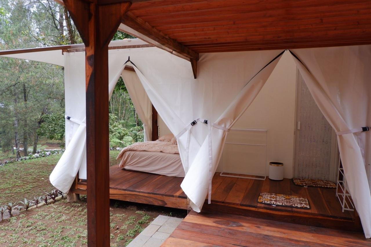 WhatsApp Image 2025-10-08 at 11.39.48 (2)