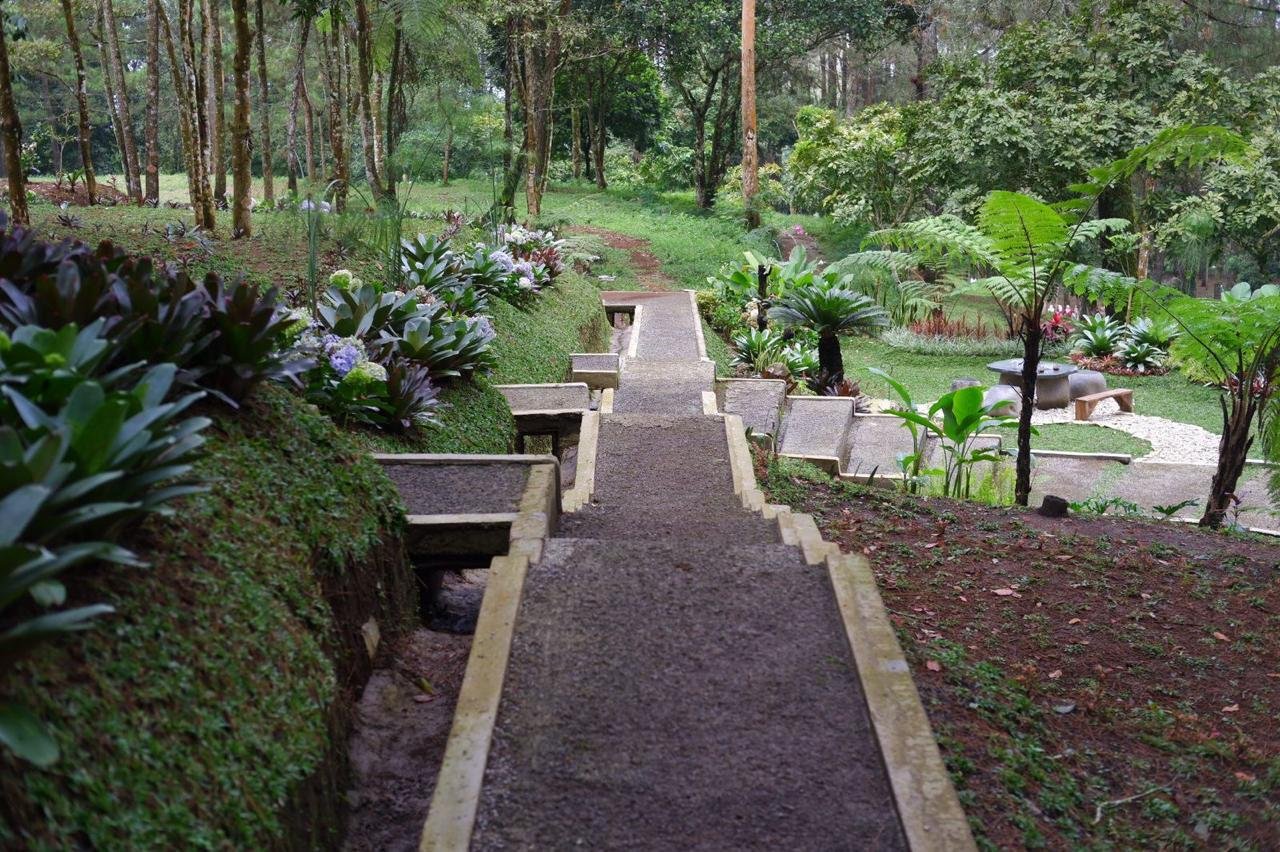 WhatsApp Image 2025-10-08 at 11.39.50 (1)