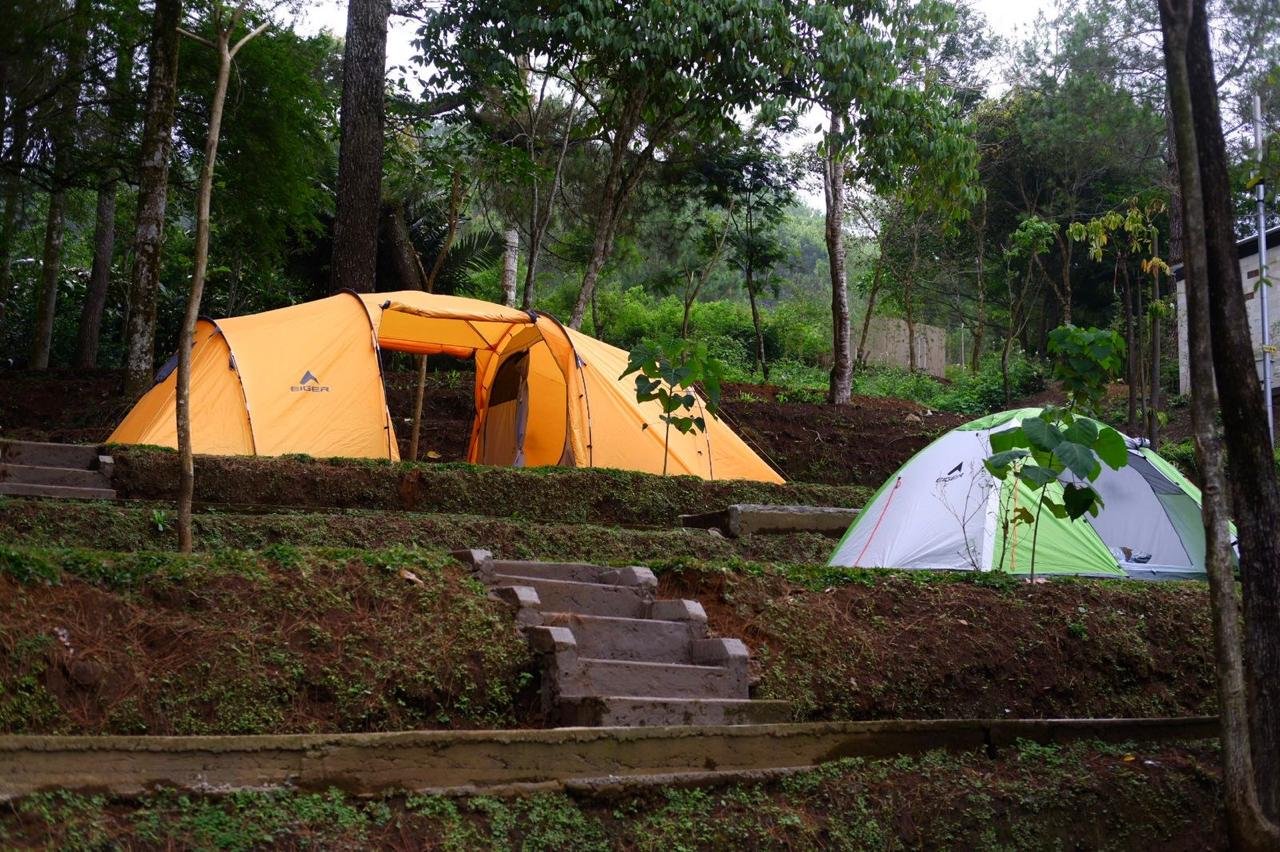 WhatsApp Image 2025-10-08 at 11.39.50