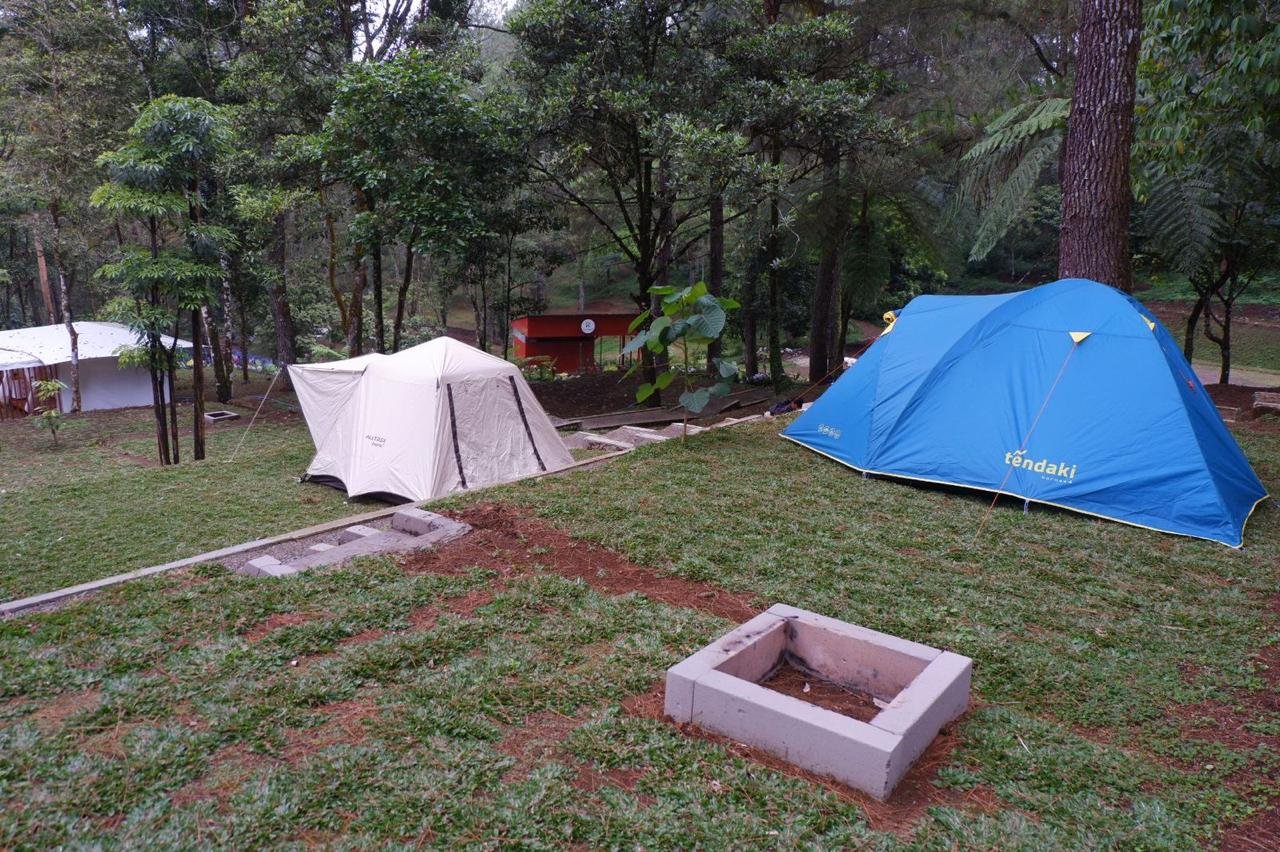 WhatsApp Image 2025-10-08 at 11.39.52 (1)