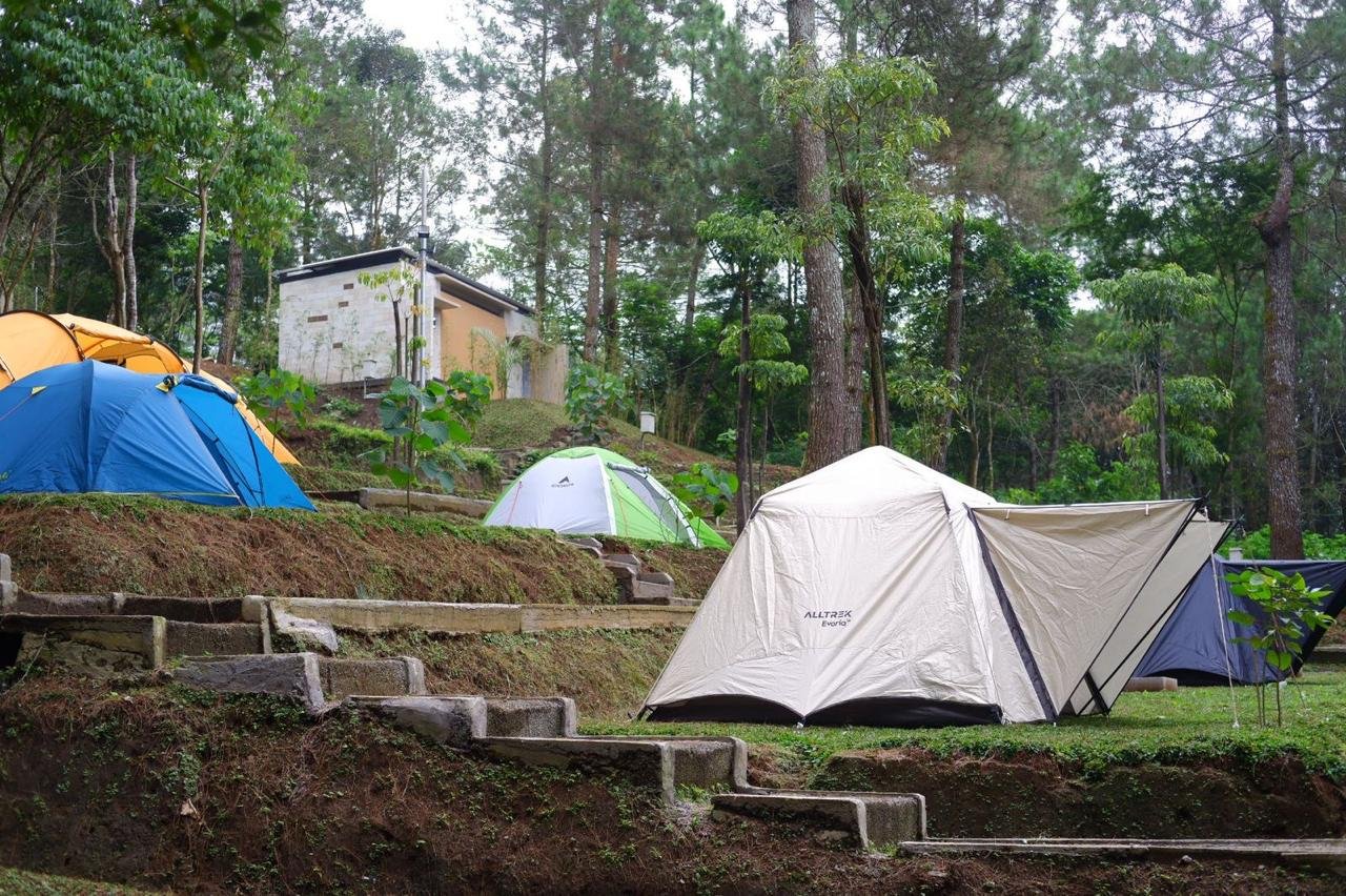 WhatsApp Image 2025-10-08 at 11.39.53 (1)