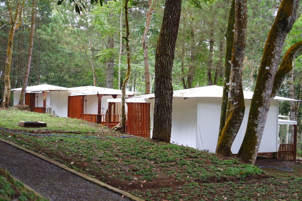 WhatsApp Image 2025-10-08 at 11.39.56