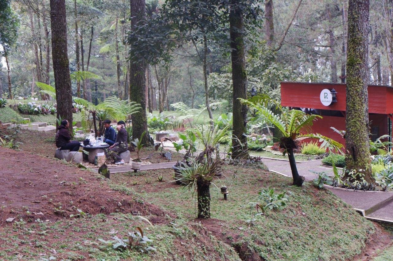 WhatsApp Image 2025-10-08 at 11.40.01 (2)