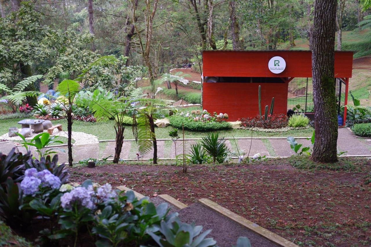 WhatsApp Image 2025-10-08 at 11.40.03